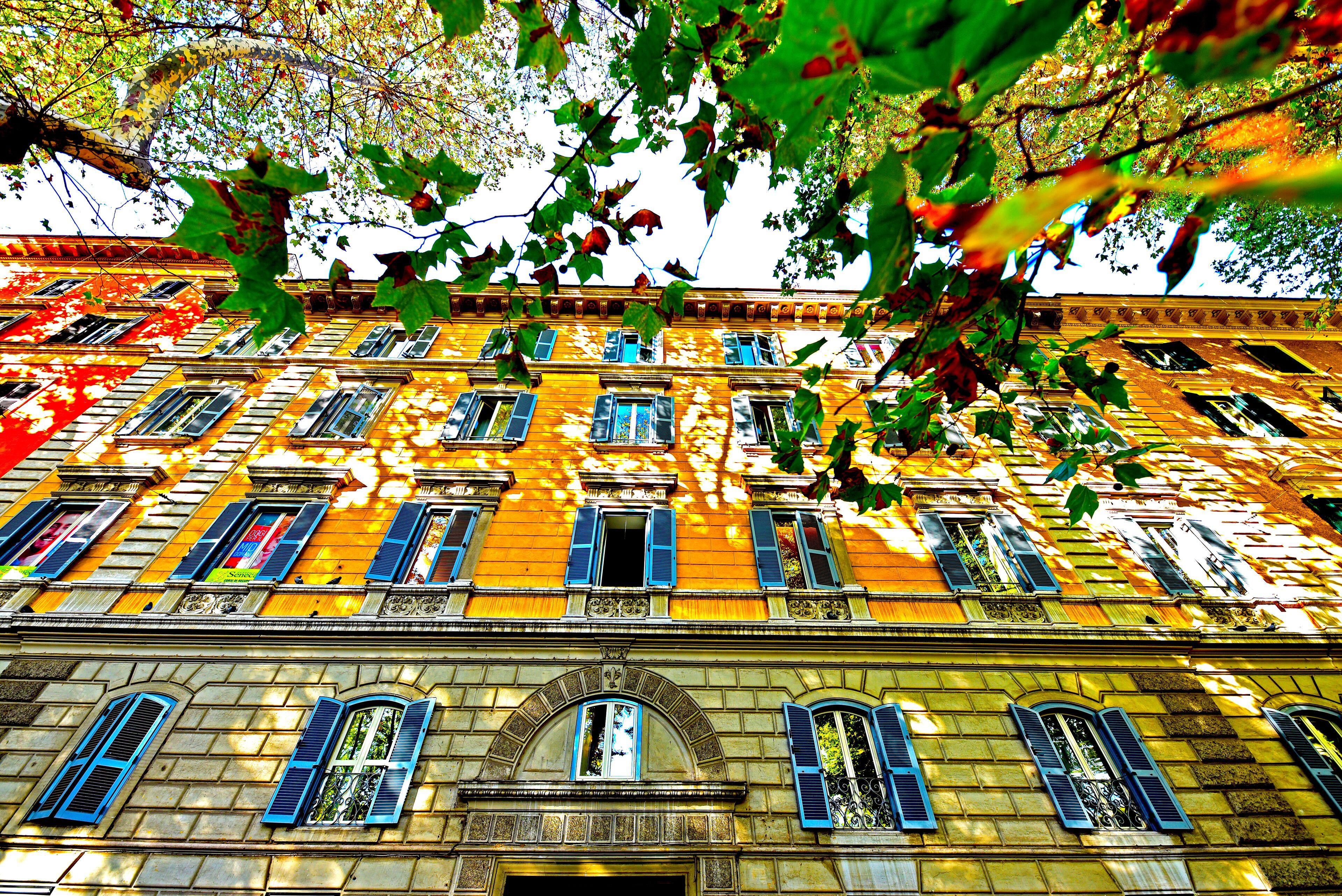Quodlibet, Rome